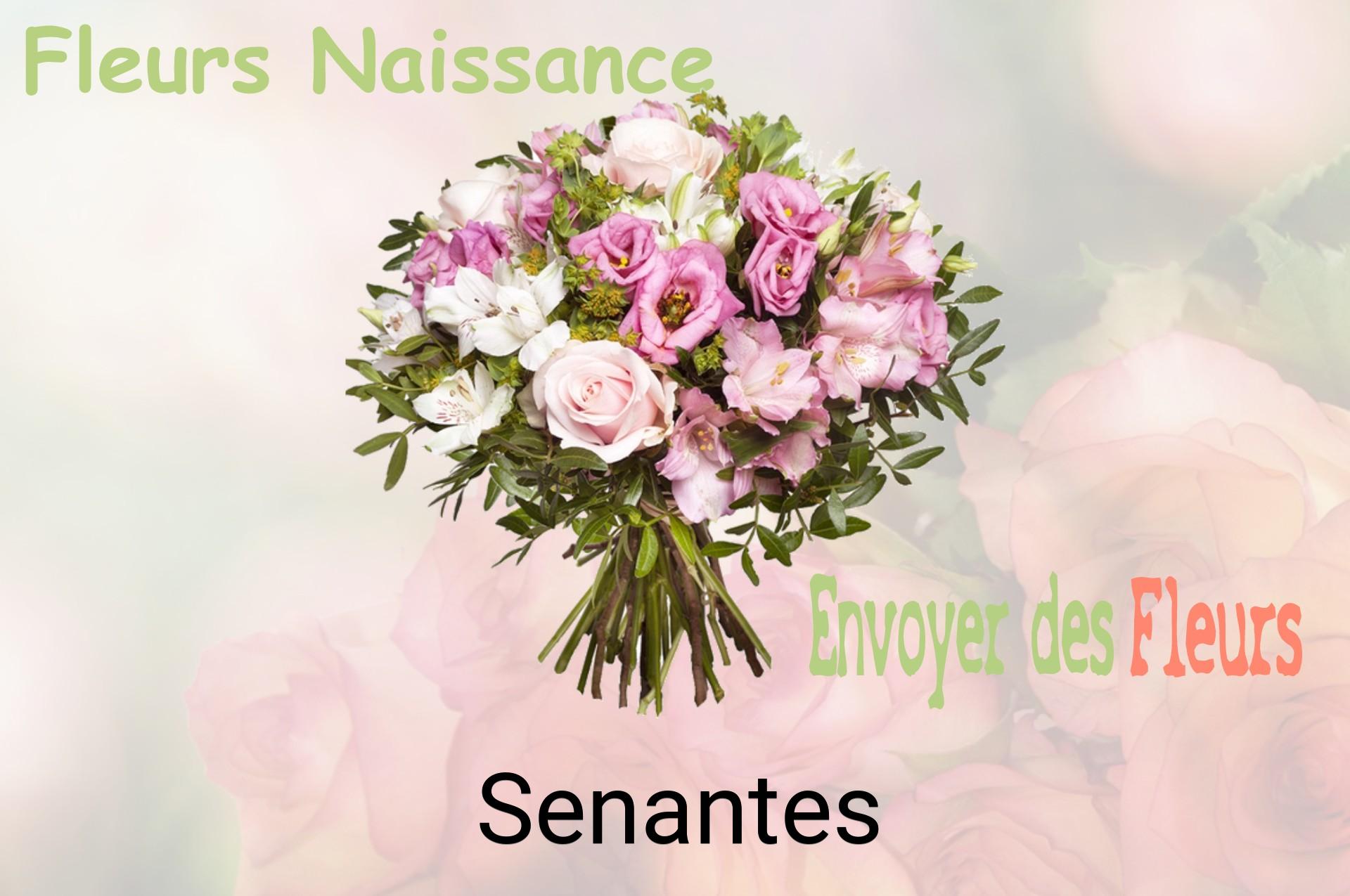 Bouquet de fleurs de naissance livré à Senantes