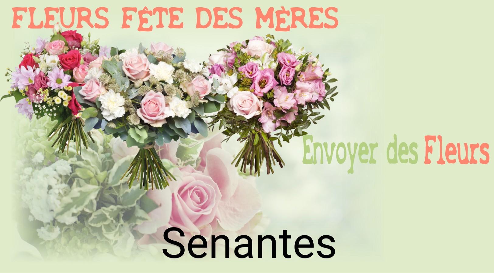 Bouquet de Fête des Mères livré à Senantes